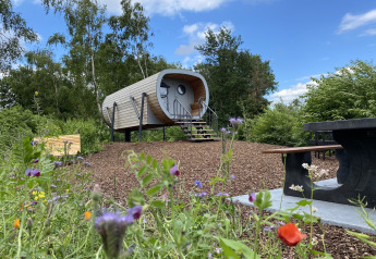 Tiny house called Anthropod at Holiday Park 't Rheezerwold, surrounded by wildflowers and lush greenery.