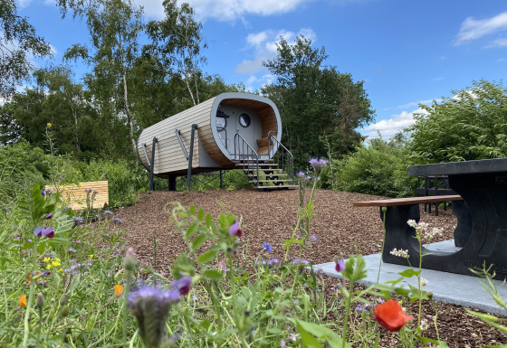 Tiny house chiamata Anthropod al Holiday Park 't Rheezerwold, circondata da fiori selvatici e natura verde.