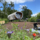 Tiny house chiamata Anthropod al Holiday Park 't Rheezerwold, circondata da fiori selvatici e natura verde.