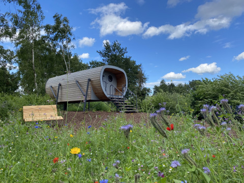 Moderne tiny house Anthropod på Holiday Park 't Rheezerwold, omgivet af vilde blomster og grønne marker.
