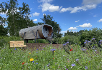 Moderne tiny house Anthropod på Holiday Park 't Rheezerwold, omgivet af vilde blomster og grønne marker.