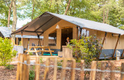 Tienda safari de lujo con baño privado en Camping De Betteld, Países Bajos, rodeada de naturaleza.
