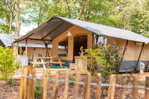 Luxury safari tent with private sanitary facilities at Camping De Betteld, Netherlands, in a forest setting.