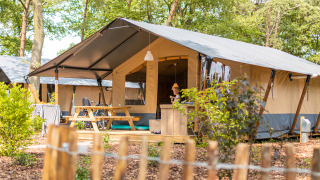 Luxury safari tent with private sanitary facilities at Camping De Betteld, Netherlands, in a forest setting.