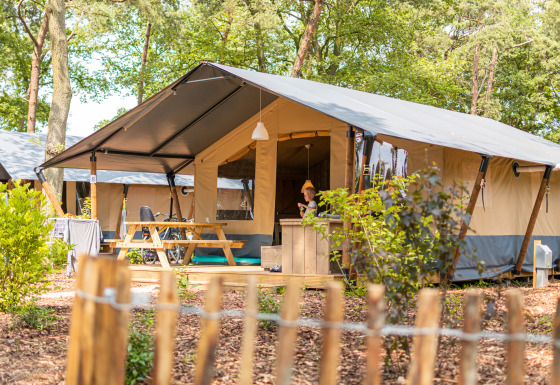 Luxury safari tent with private sanitary facilities at Camping De Betteld, Netherlands, in a forest setting.