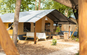 Luksus safaritelte med terrasse og siddepladser på Camping De Betteld i Holland, omgivet af natur.
