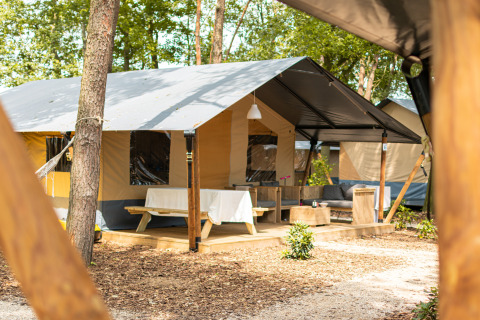 Tienda safari de lujo con terraza y asientos en Camping De Betteld, Países Bajos, rodeada de árboles.