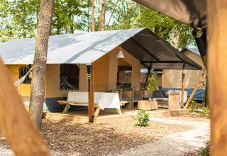 Tienda safari de lujo con terraza y asientos en Camping De Betteld, Países Bajos, rodeada de árboles.