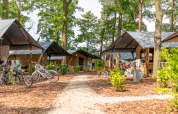 Luxe safaritenten met privé sanitair op Camping De Betteld in Nederland, met bomen en fietsen erbij.