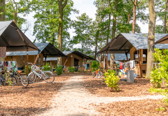 Luksussafari-telte med eget bad på Camping De Betteld i Holland, omgivet af skov og cykler.