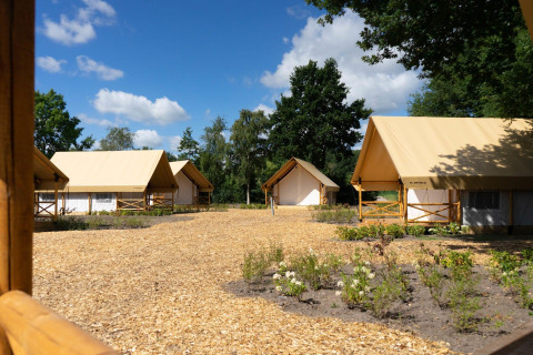 Udsigt over glamping telte på Kiezel-lodgen ved Zilverstrand i Belgien, omgivet af træer og blå himmel.