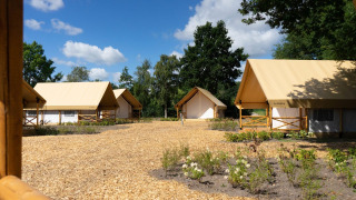 View of glamping tents at Kiezel lodge at Zilverstrand in Belgium, surrounded by trees and a blue sky.