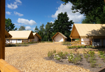 Vista de tiendas glamping en el lodge Kiezel en Zilverstrand, Bélgica, rodeadas de árboles y cielo azul.