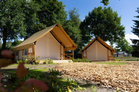 To luksuriøse safaritelte i en grøn skovomgivelse på Kiezel lodgen ved Zilverstrand, Belgien, i solskin.