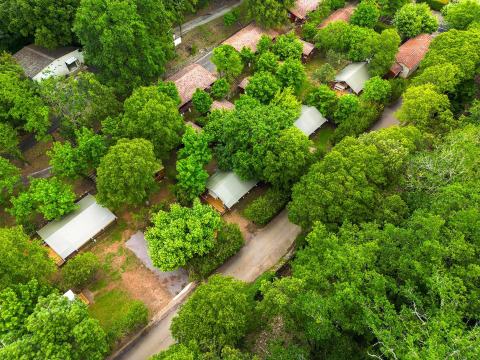 Luftfoto af Villatent Nomad safari-telte blandt grønne træer på Camping La Clémentine i Frankrig.