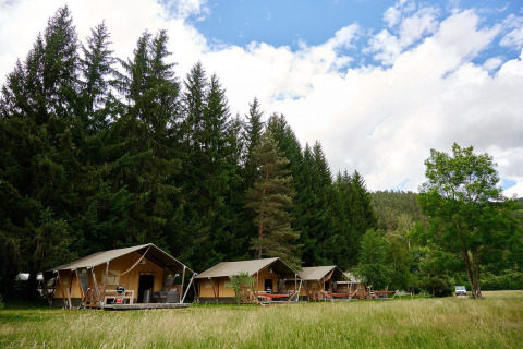 Safari tenten van Villatent Wood op Camping de Vaubarlet, Frankrijk, tegen een achtergrond van dennenbos.
