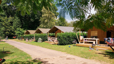 Safari-Zelte im Camping Domaine du Logis in Frankreich, umgeben von Bäumen und mit sonnigen Holzterrassen.