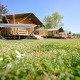 Safari tents at Villatent Nomad, Holiday Resort de Bronzen Emmer, Netherlands, on a sunny green field.