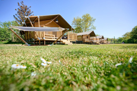 Safaritenten bij Villatent Nomad op vakantiepark de Bronzen Emmer in Nederland, op een zonnig grasveld.