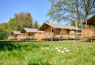 Tiendas safari Villatent Nomad en Holiday Resort de Bronzen Emmer, Países Bajos, en un campo soleado.