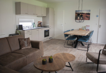 Moderne stue og køkken i Veluwe Villa på Holiday park De Boshoek, Holland, med spisebord og sofa.