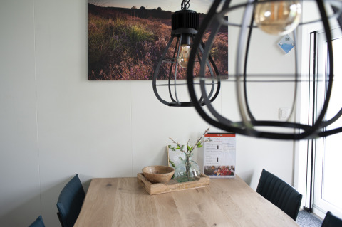 Eethoek in Veluwe Villa op vakantiepark De Boshoek, Nederland, met moderne lamp en houten tafel.