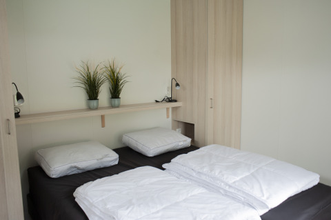 Moderne lodge-slaapkamer in Veluwe Villa in vakantiepark De Boshoek, Nederland, met twee bedden en planten.
