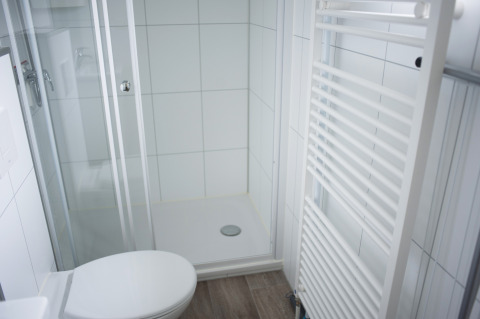 Modern bathroom with shower, toilet, and towel radiator in Veluwe Villa at De Boshoek Holiday Park, Netherlands.
