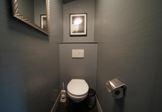 Toilette moderna con sciacquone a parete e quadro alla Forest Lodge, Het Amsterdamse Bos, Paesi Bassi.