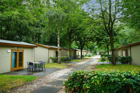 Cabañas Forest Lodge en Het Amsterdamse Bos, Países Bajos, entre árboles y senderos rodeados de vegetación.