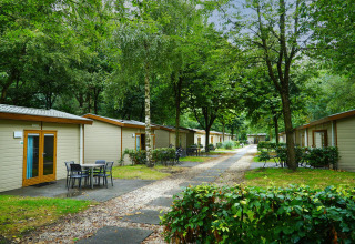 Cabañas Forest Lodge en Het Amsterdamse Bos, Países Bajos, entre árboles y senderos rodeados de vegetación.