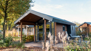 Tiny House en bois à De Wije Werelt aux Pays-Bas, entourée de verdure et de plantes naturelles.