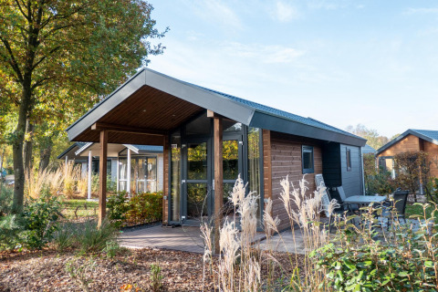 Tiny House lodge van hout bij De Wije Werelt in Nederland, omgeven door natuur en planten.