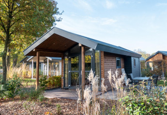 Træbeklædt Tiny House lodge på De Wije Werelt i Holland, omgivet af træer og grøn beplantning.