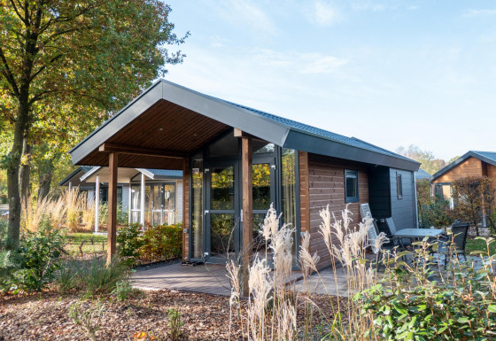Tiny House lodge van hout bij De Wije Werelt in Nederland, omgeven door natuur en planten.