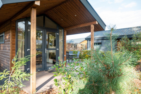 Vooraanzicht van Tiny House lodge bij De Wije Werelt in Nederland, omringd door groene beplanting.
