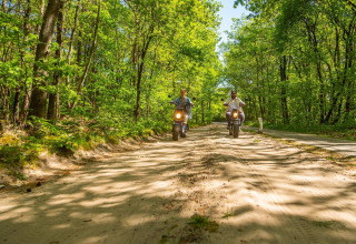 Dos personas pasean en scooter por un sendero boscoso soleado cerca de Tiny House en De Wije Werelt, Países Bajos.