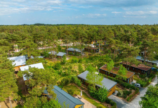 Vue aérienne d’un lodge pittoresque avec plusieurs cabanes entourées d’arbres et de verdure sous un ciel bleu.