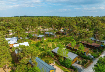 Vue aérienne d’un lodge pittoresque avec plusieurs cabanes entourées d’arbres et de verdure sous un ciel bleu.