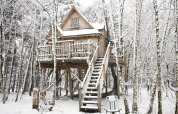 Casa del árbol nevada en Cosy Cabins, bosque de Limburg, Bélgica, refugio acogedor de invierno.