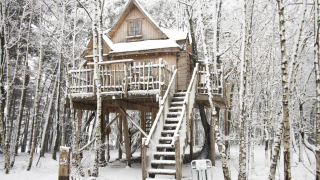 Casa del árbol nevada en Cosy Cabins, bosque de Limburg, Bélgica, refugio acogedor de invierno.