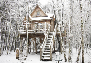 Casa del árbol nevada en Cosy Cabins, bosque de Limburg, Bélgica, refugio acogedor de invierno.