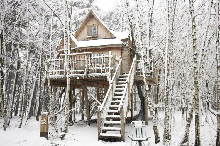Casa del árbol nevada en Cosy Cabins, bosque de Limburg, Bélgica, refugio acogedor de invierno.