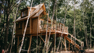Klein boomhuis van hout met veranda en trap, omgeven door hoge bomen in een groene bosrijke omgeving.