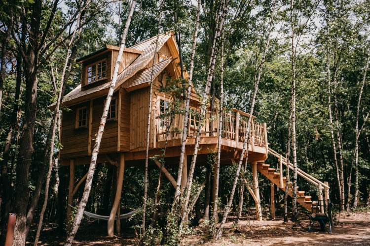 Una pequeña casa en el árbol de madera con terraza y escalera, rodeada de un frondoso bosque verde.