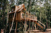 Petite cabane en bois perchée sur pilotis, équipée d'une terrasse et d'un escalier, au cœur de la forêt.