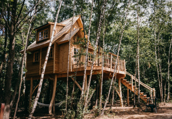 A tiny wooden tree house elevated on stilts with stairs and a deck, nestled deep in a lush green forest.
