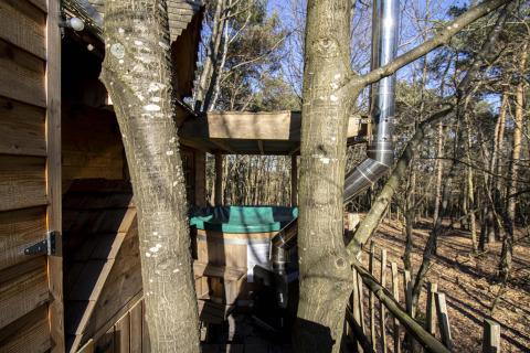 Casa en el árbol con terraza y chimenea en el bosque de Cosy Cabins, Limburg, Bélgica.