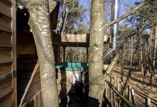 Træhus med terrasse og skorsten blandt træer i skov ved Cosy Cabins, Limburg, Belgien.