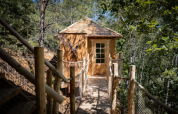 Cabane perchée à Cosy Cabins, forêt de Limbourg, Belgique, accessible par un pont de bois, entourée d'arbres.